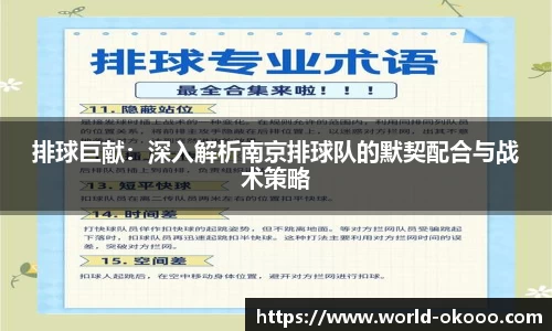 排球巨献：深入解析南京排球队的默契配合与战术策略